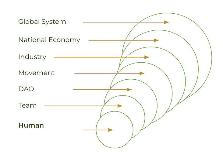 Holon diagram