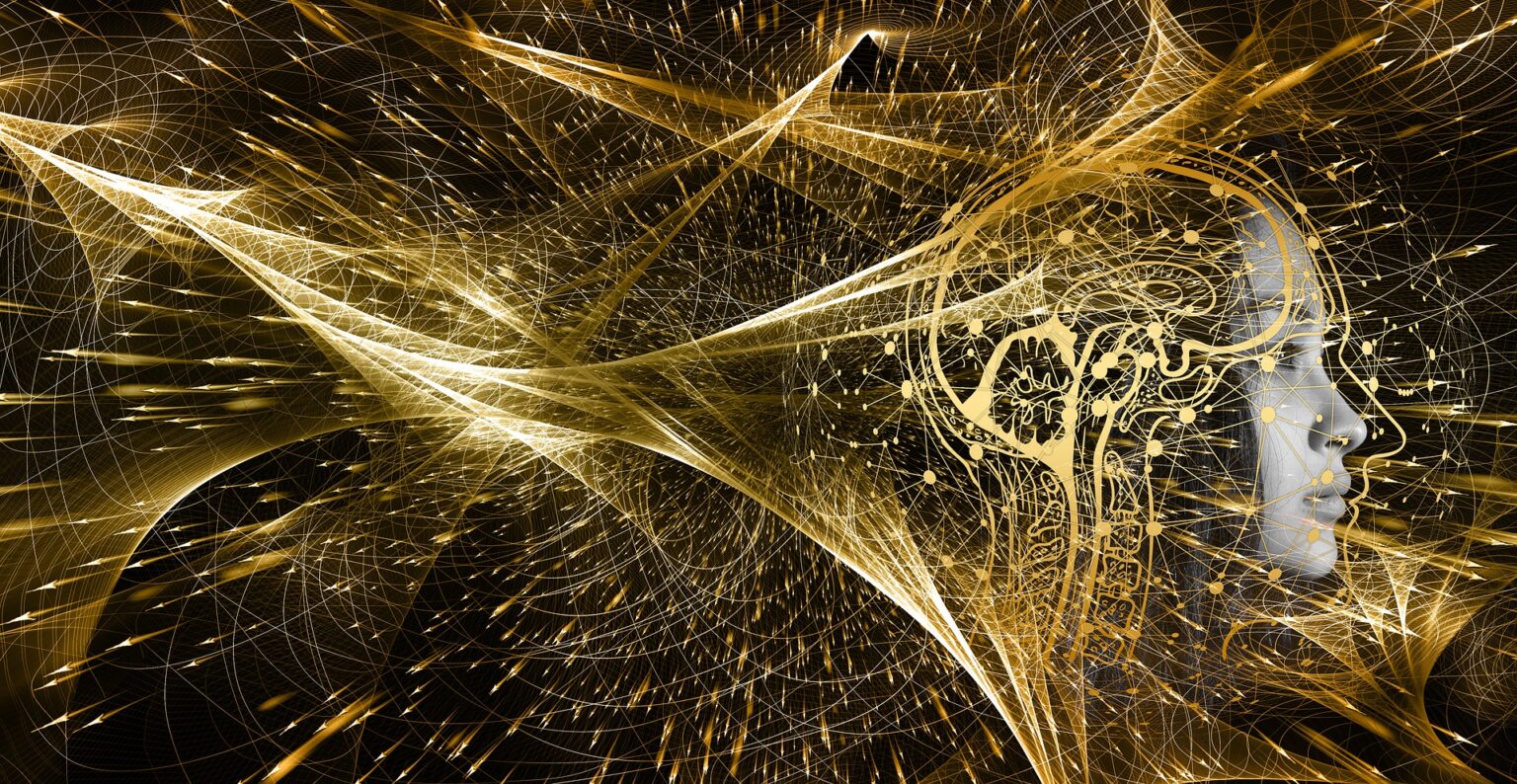 Quantum physics visualization - Information Fields